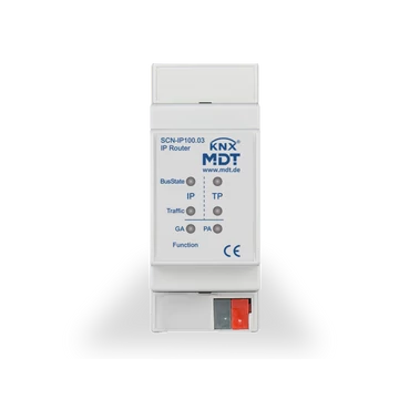 MDT IP router